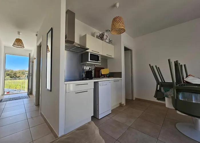 T3 En Corse, Marina Di Bravone N131 * Linguizzetta